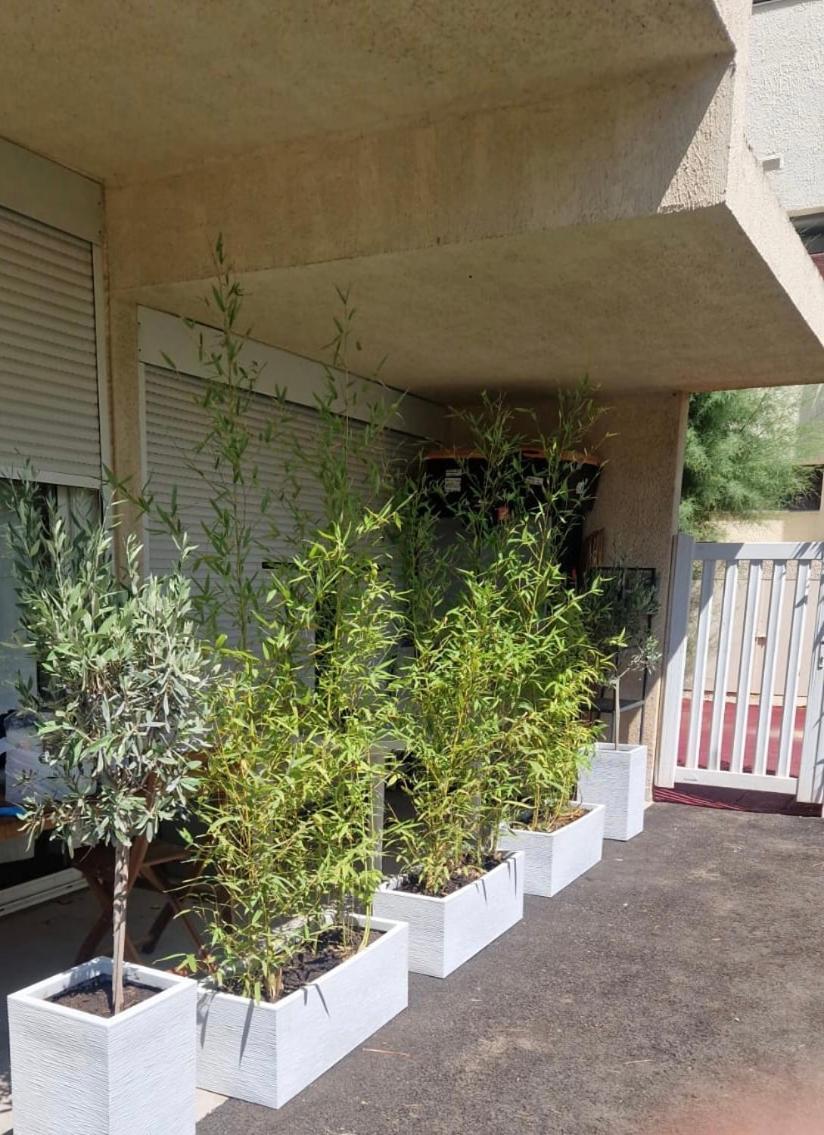 Appartamento Asklan Bormes-les-Mimosas Esterno foto